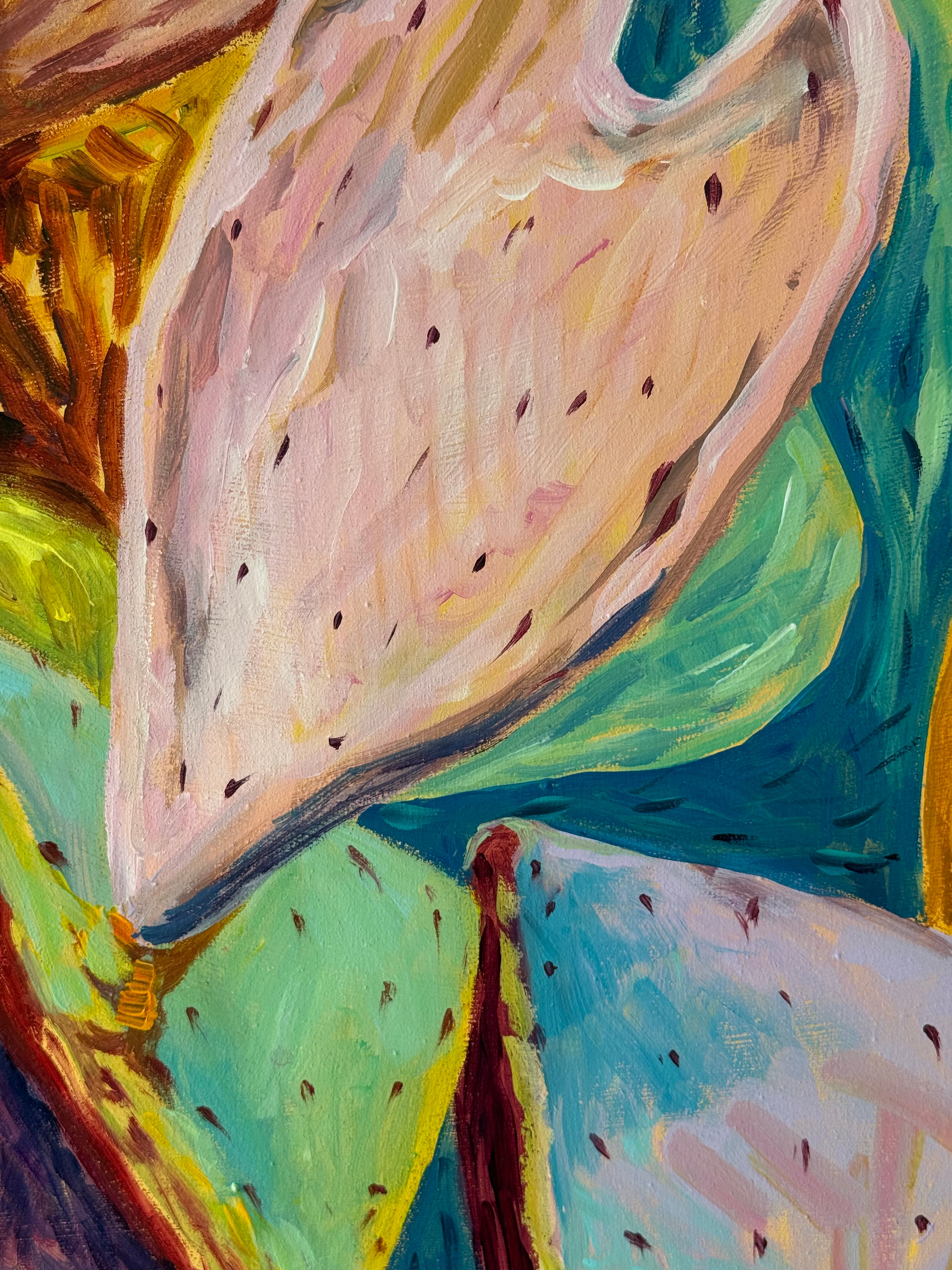 ⁠⁠Golden hour oasis