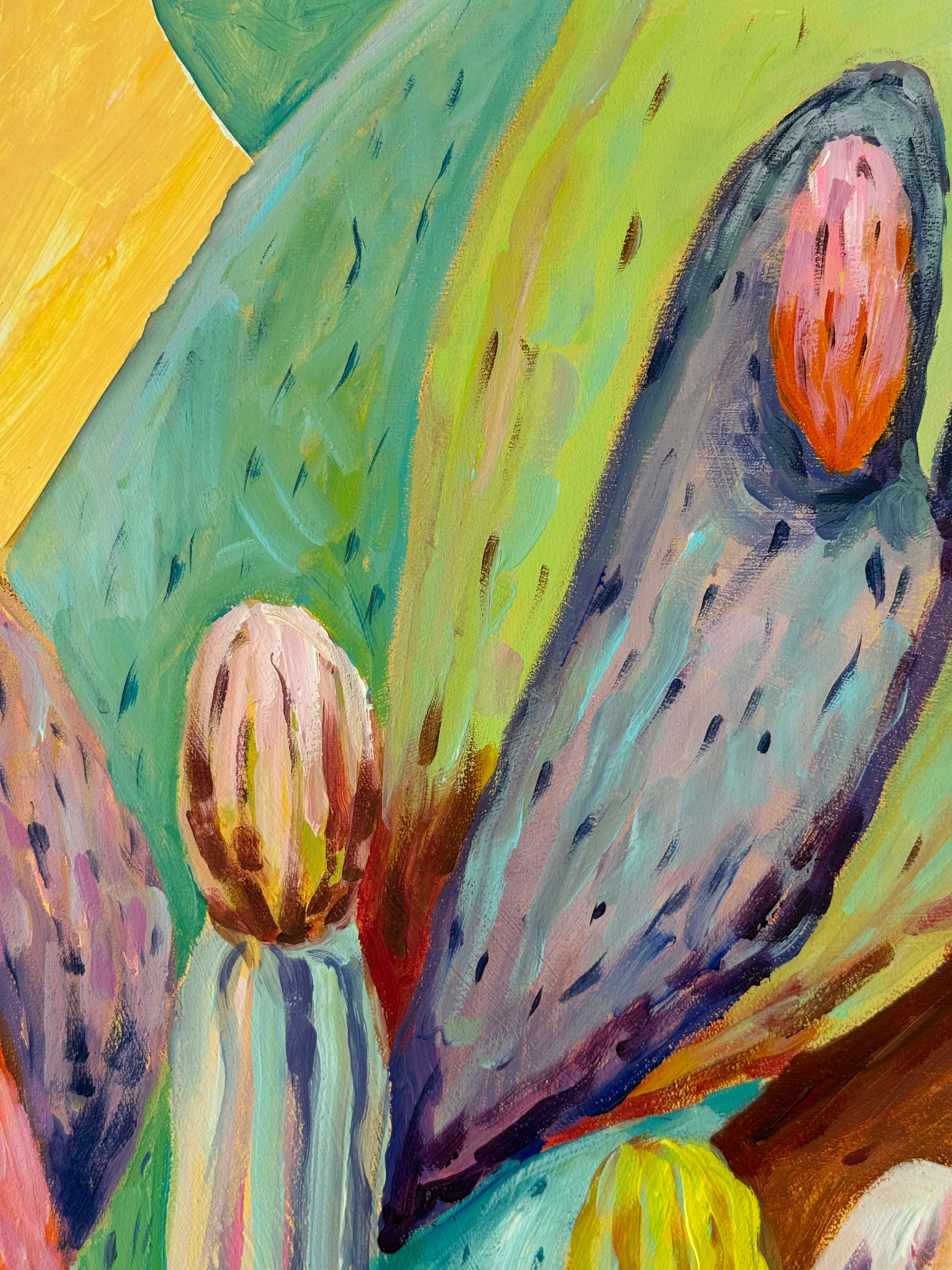 ⁠⁠Golden hour oasis