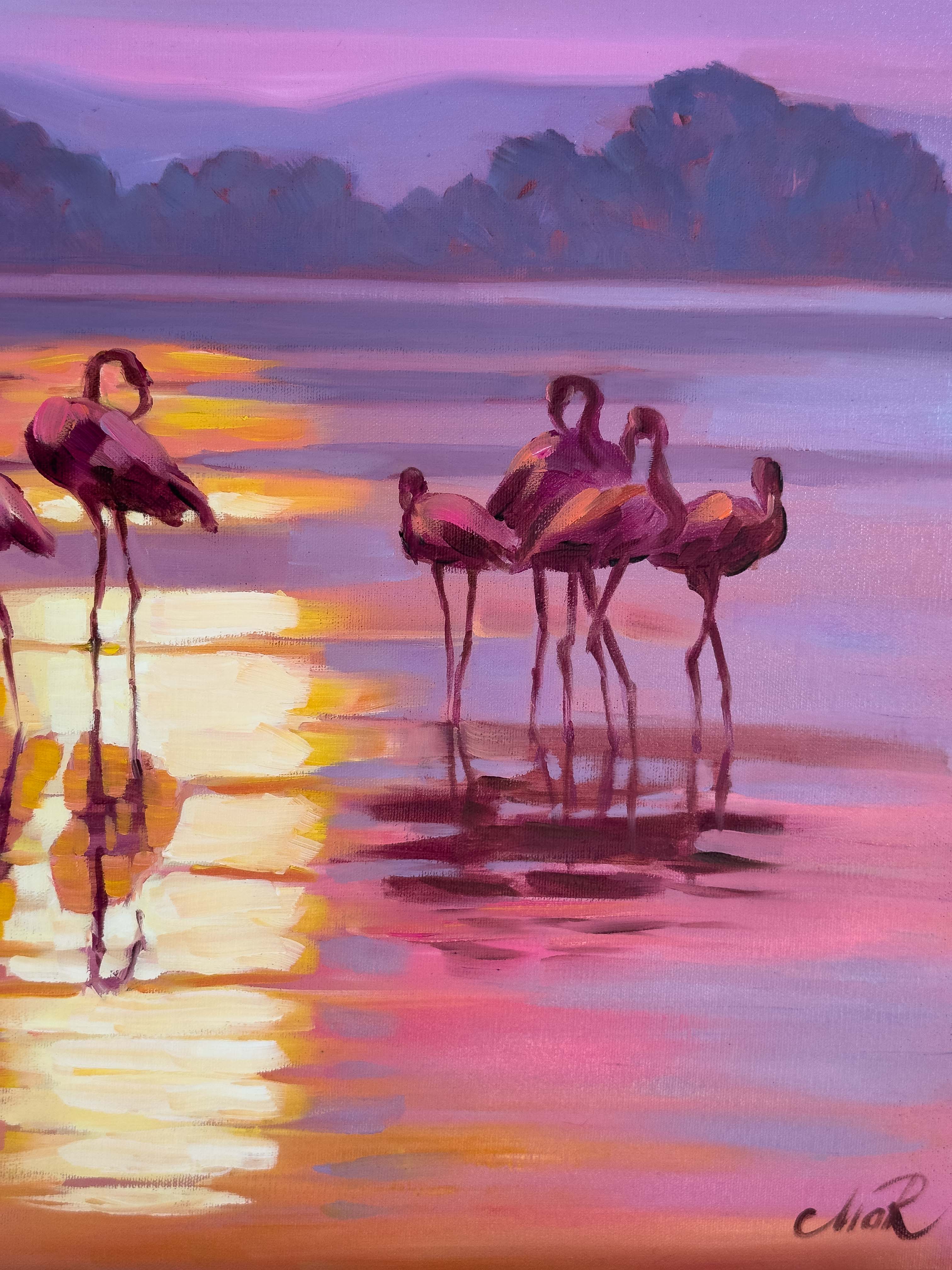 Flamingos - Image 10