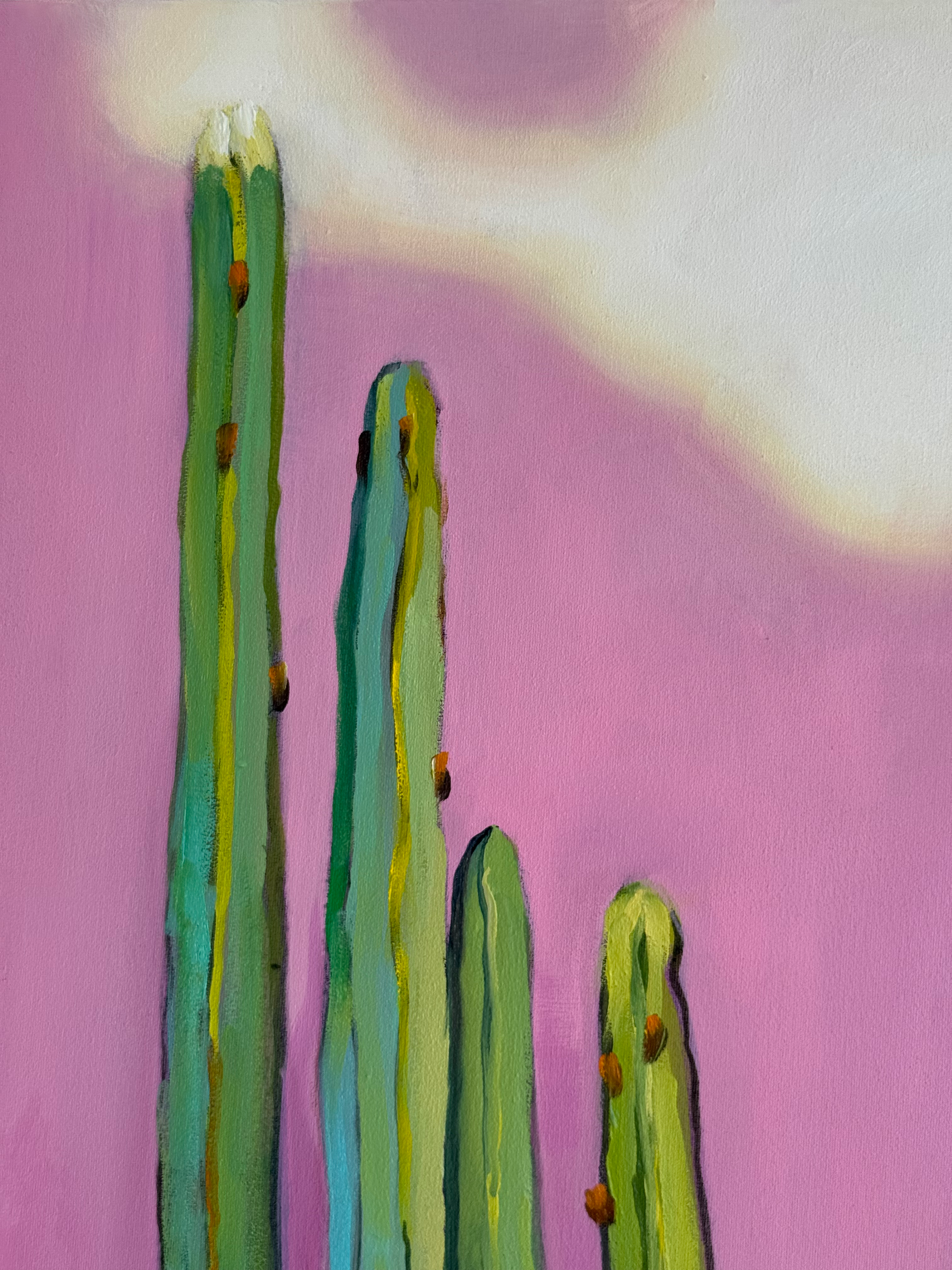 Oasis sentinels - Image 10