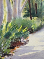 Selva