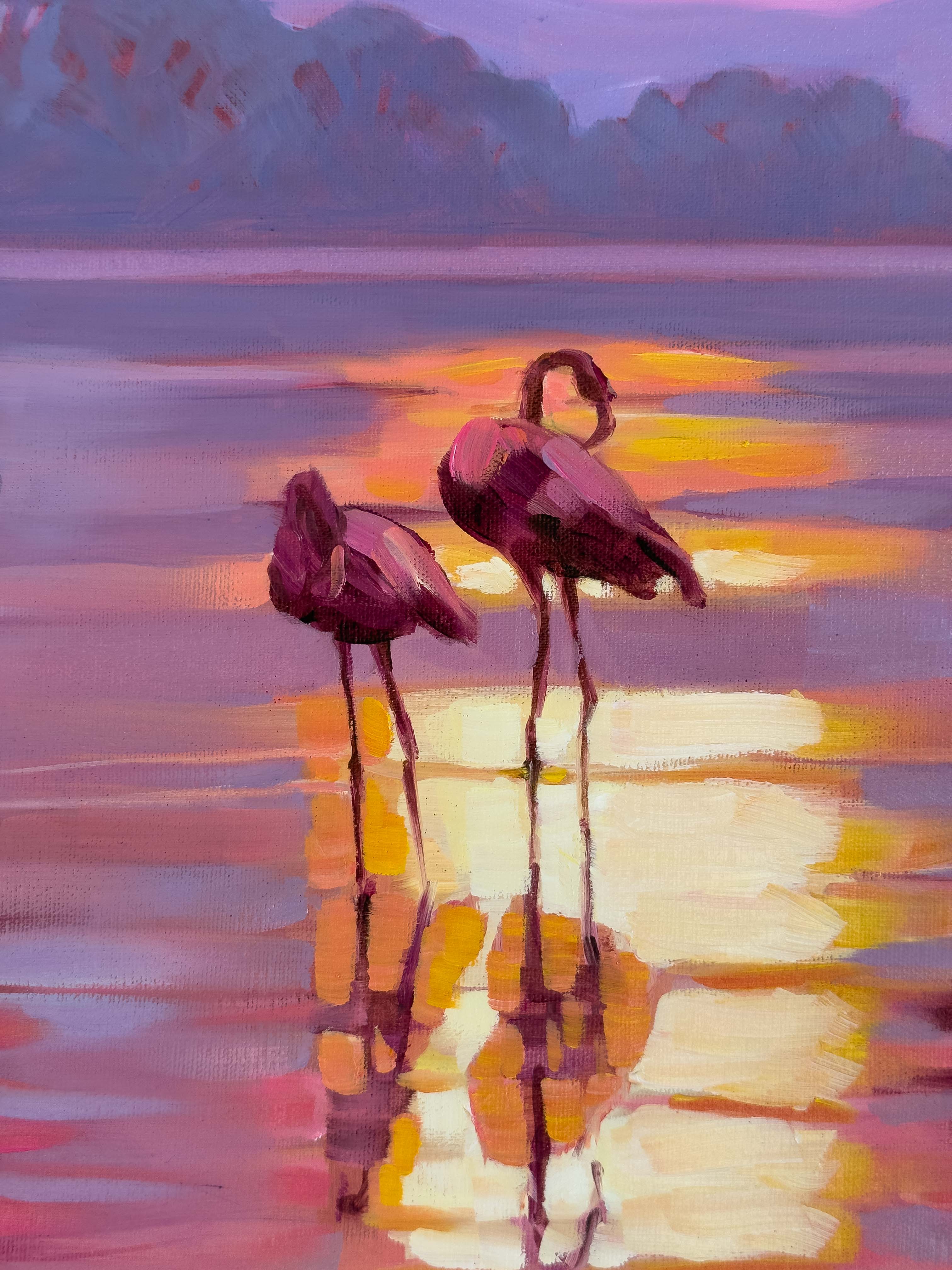 Flamingos - Image 6