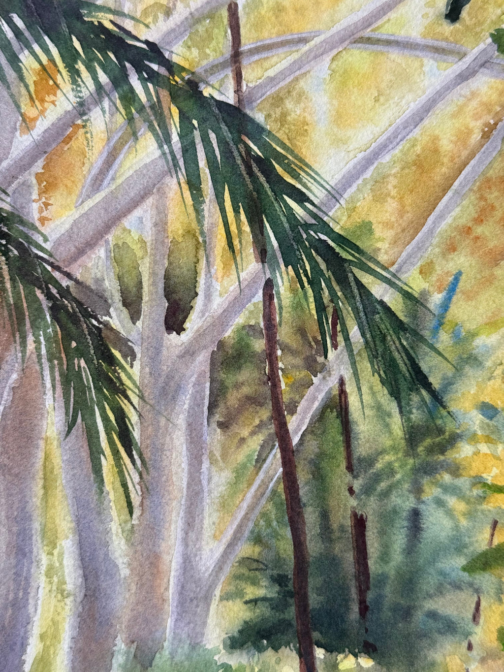 Selva