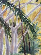 Selva