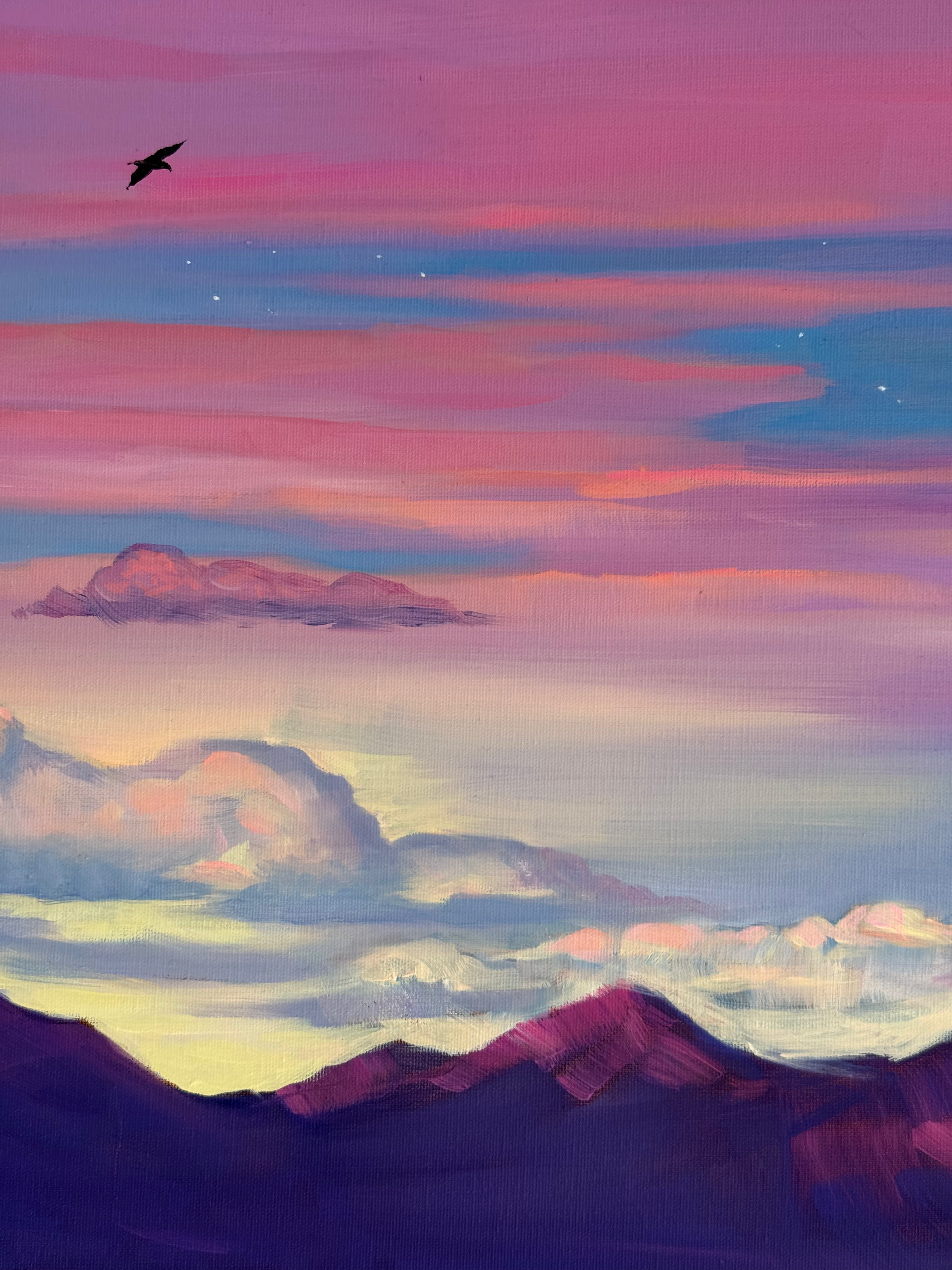 Canyon twilight - Image 4