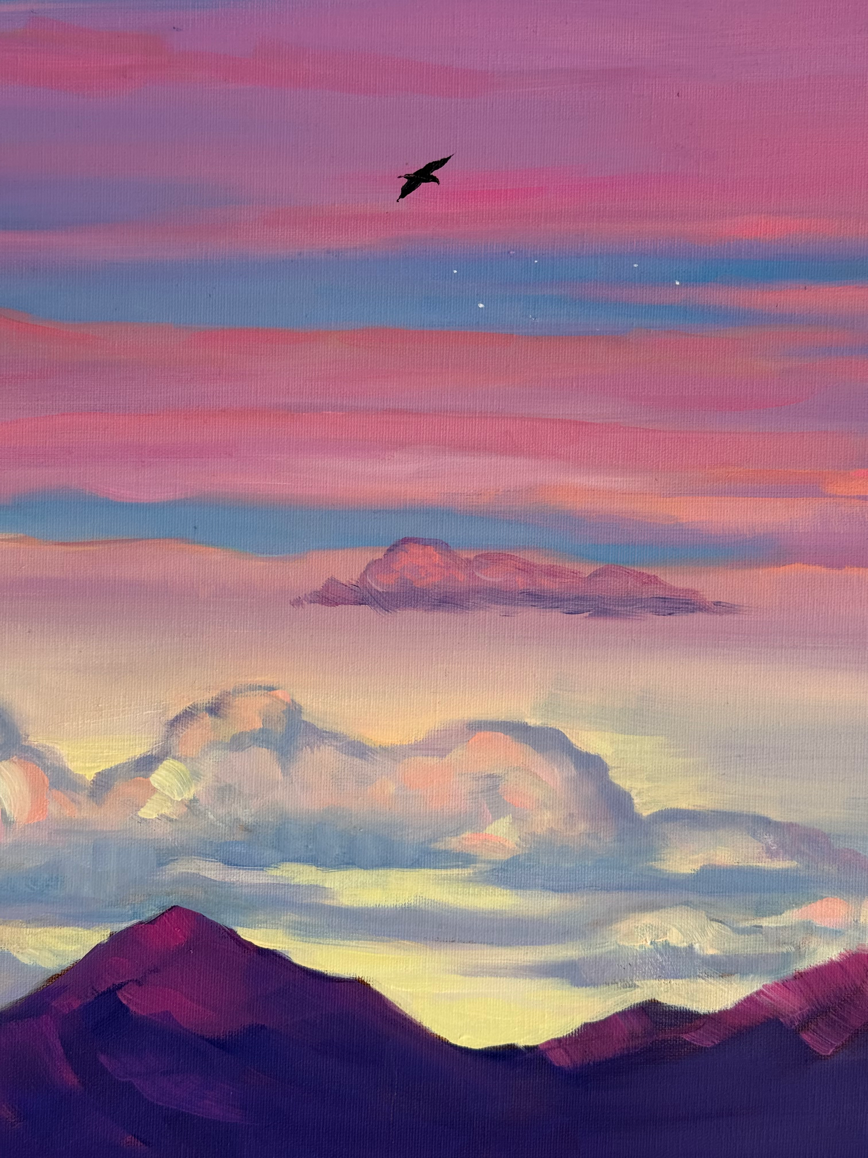 Canyon twilight - Image 12