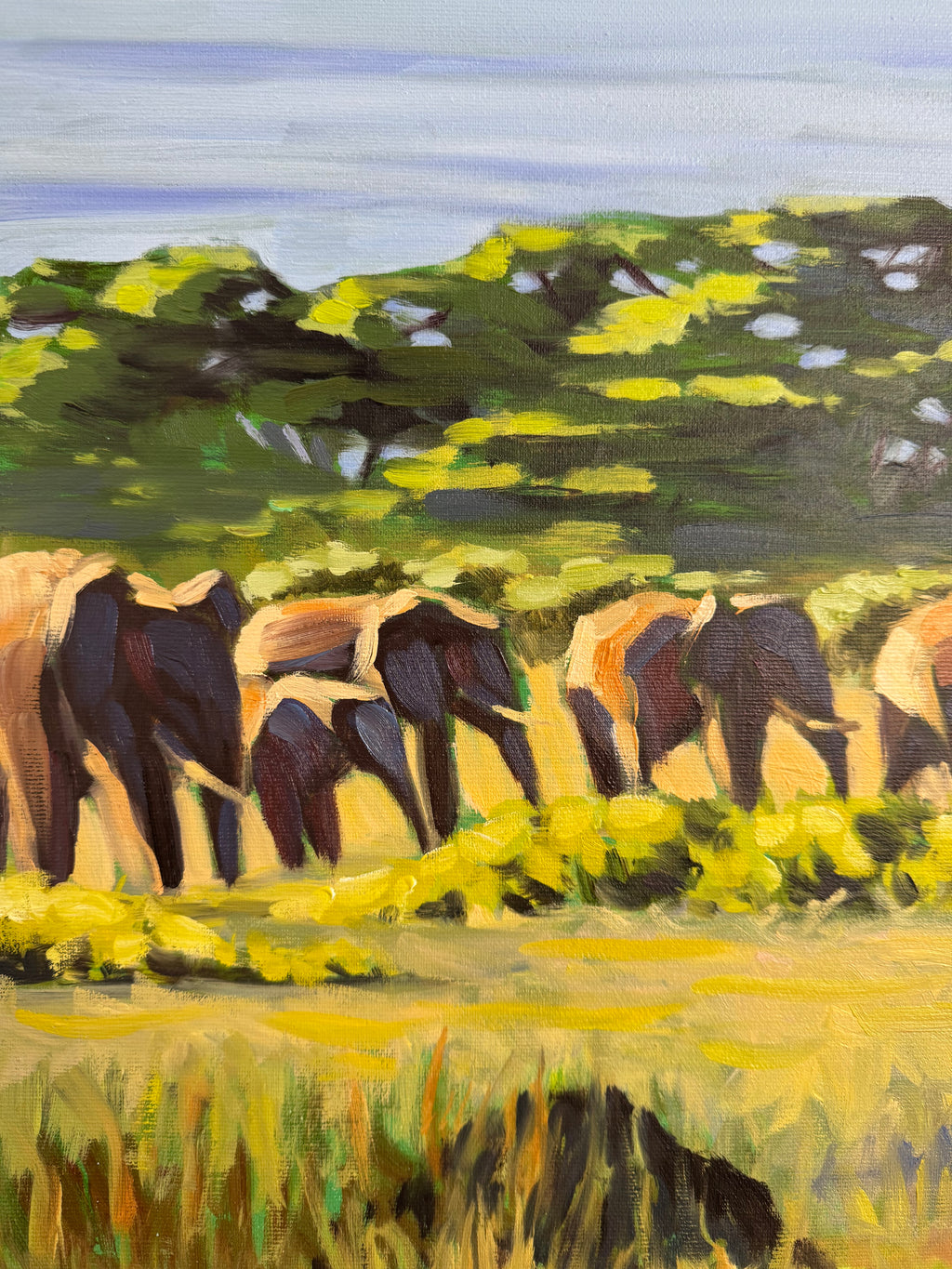 Kilimanjaro elephants - Image 5