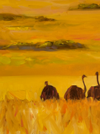 Ostriches - Image 7