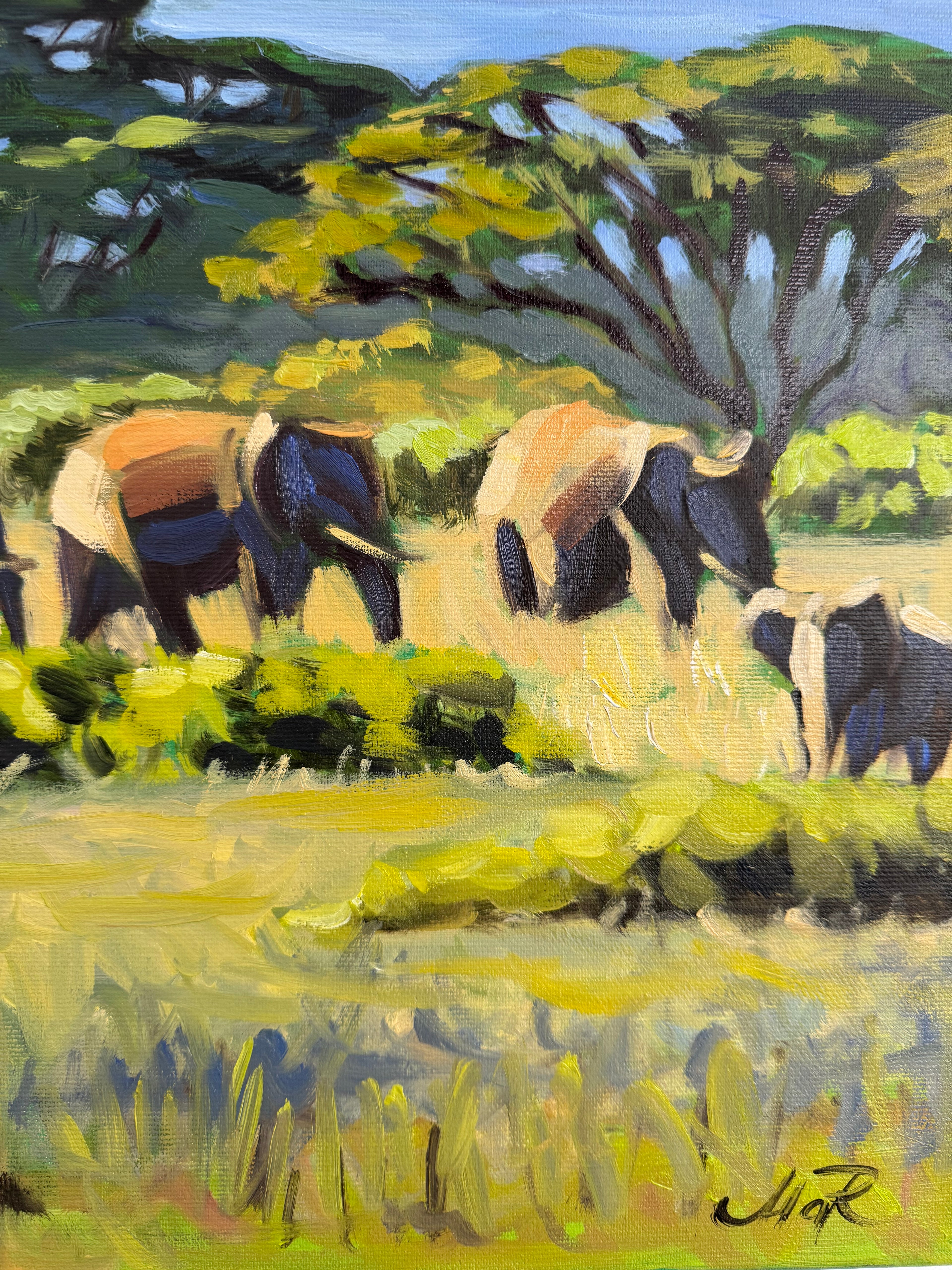 Kilimanjaro elephants - Image 7