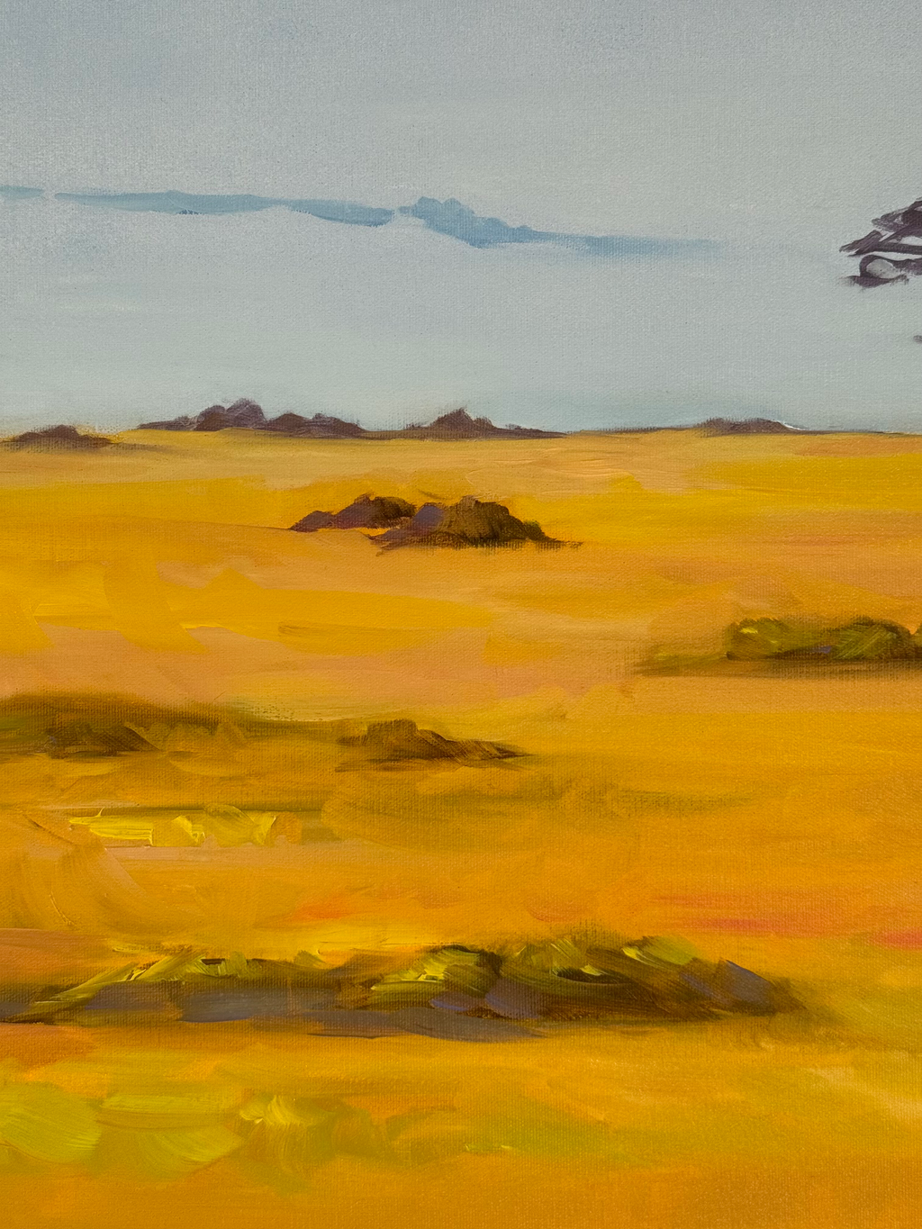 Ostriches - Image 10