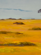 Ostriches - Image 10