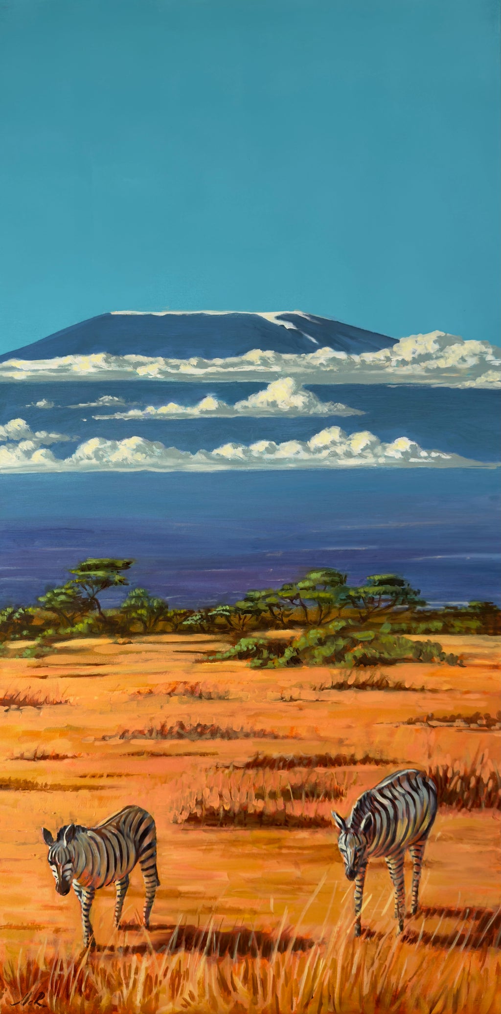 Kilimanjaro zebras - Image 2