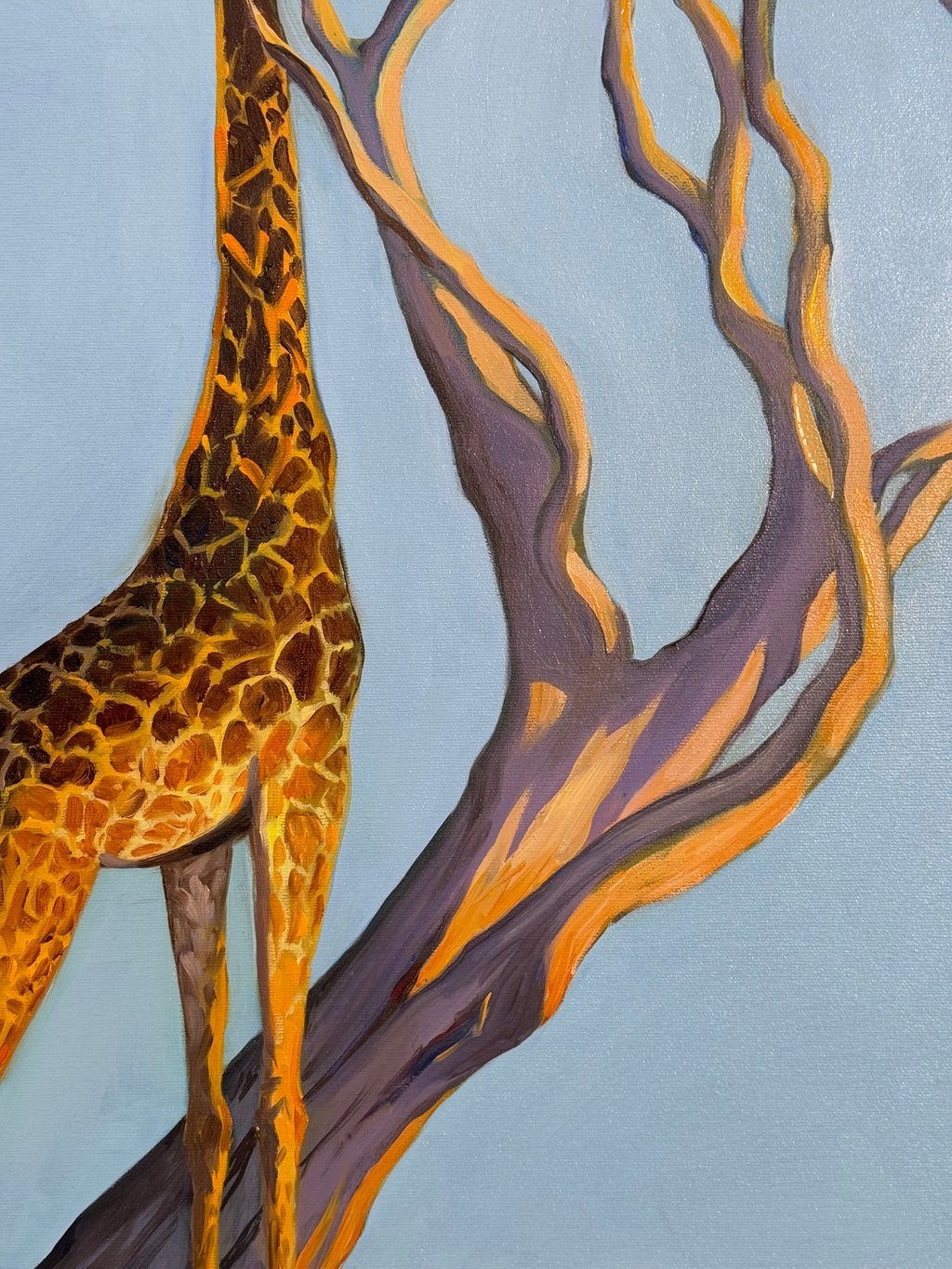 Savannah routine - Image 5