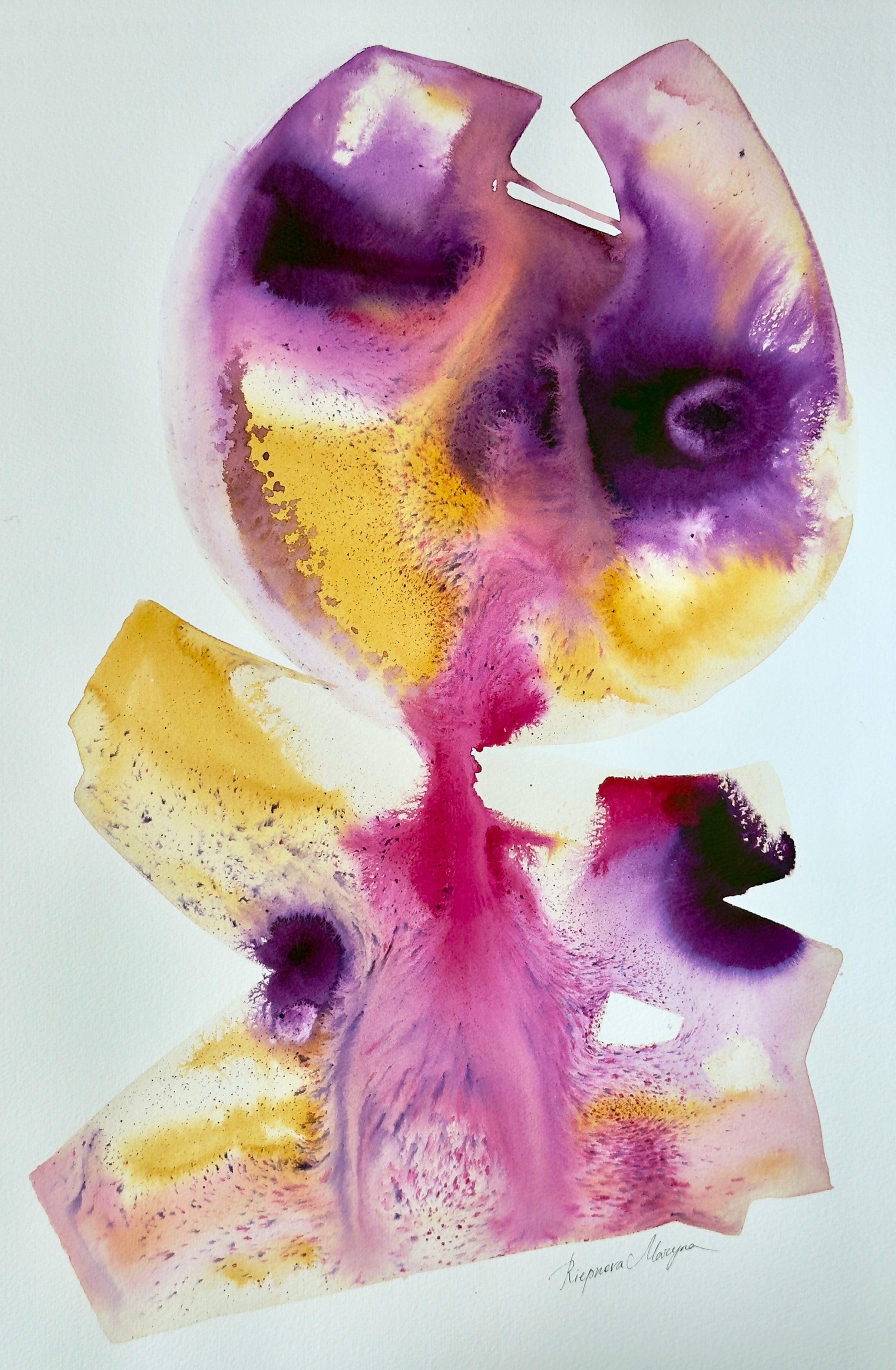 Rosaleda No. 2 – Unfurling beauty - Image 2