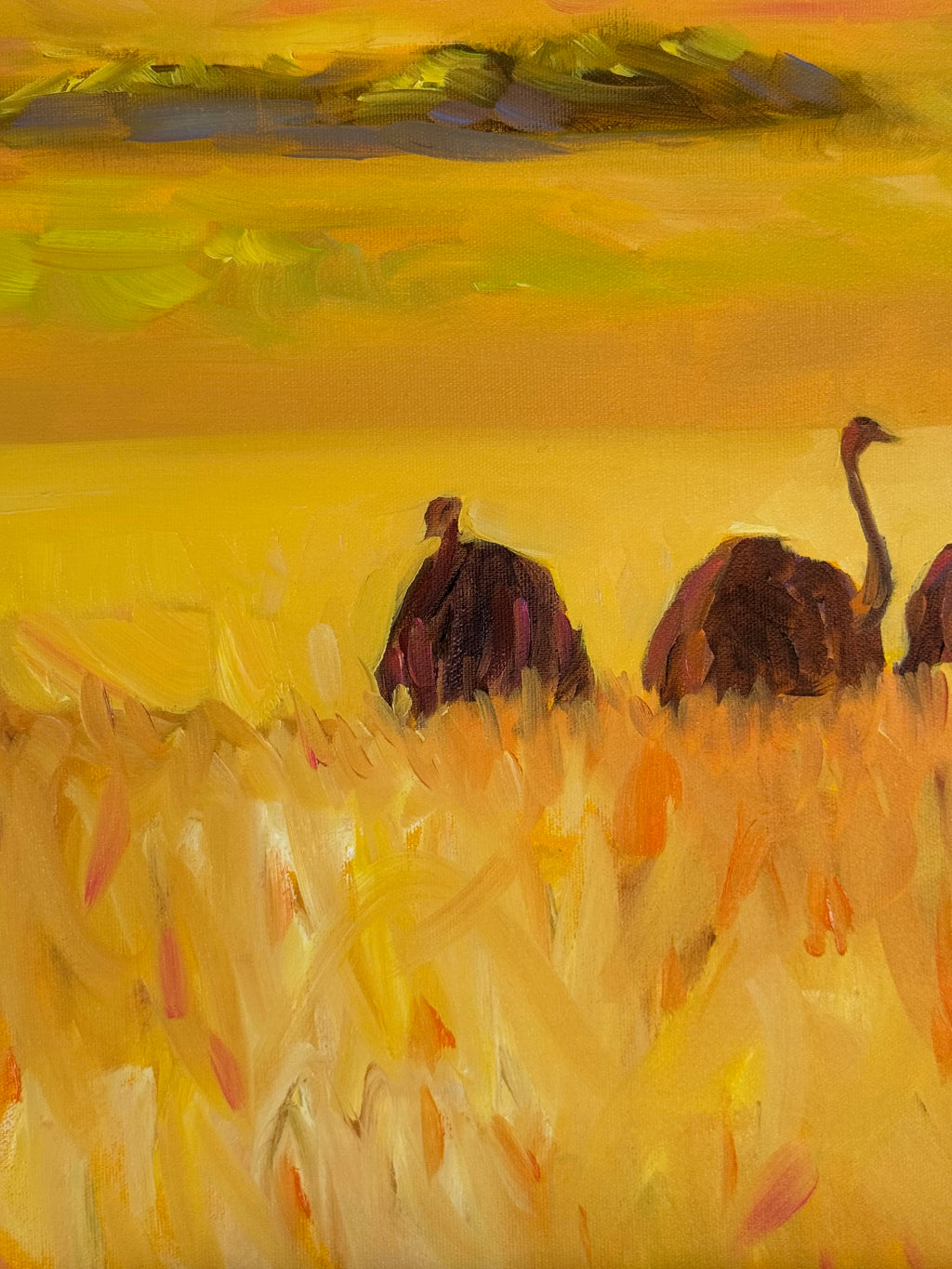Ostriches - Image 11