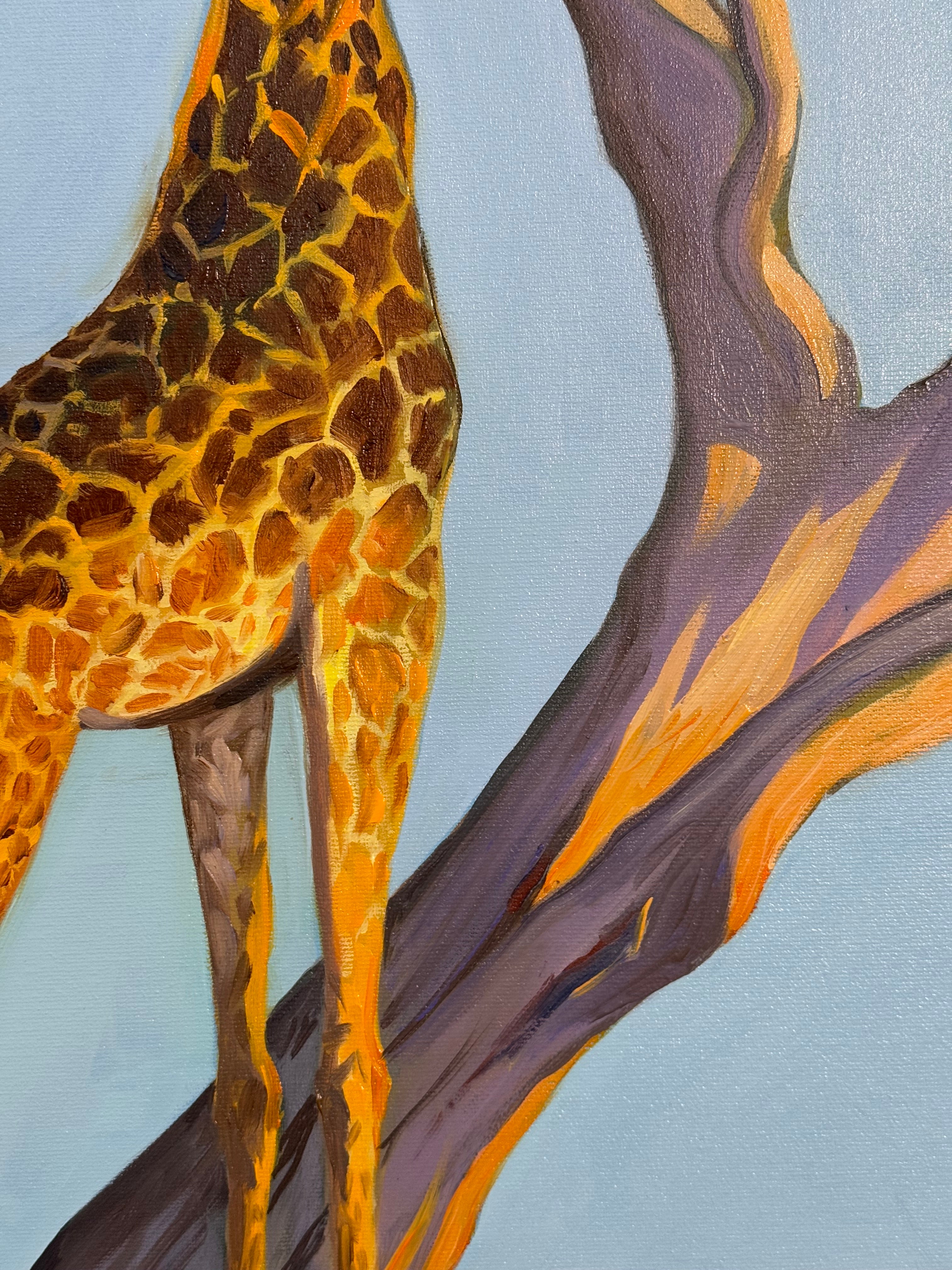 Savannah routine - Image 6